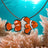 Clown Fish Necklace for Women and Teens- Tropical Necklaces for Women, Clown Fish Pendant Clown Fish Charm, Themed Necklaces for Women and Teens