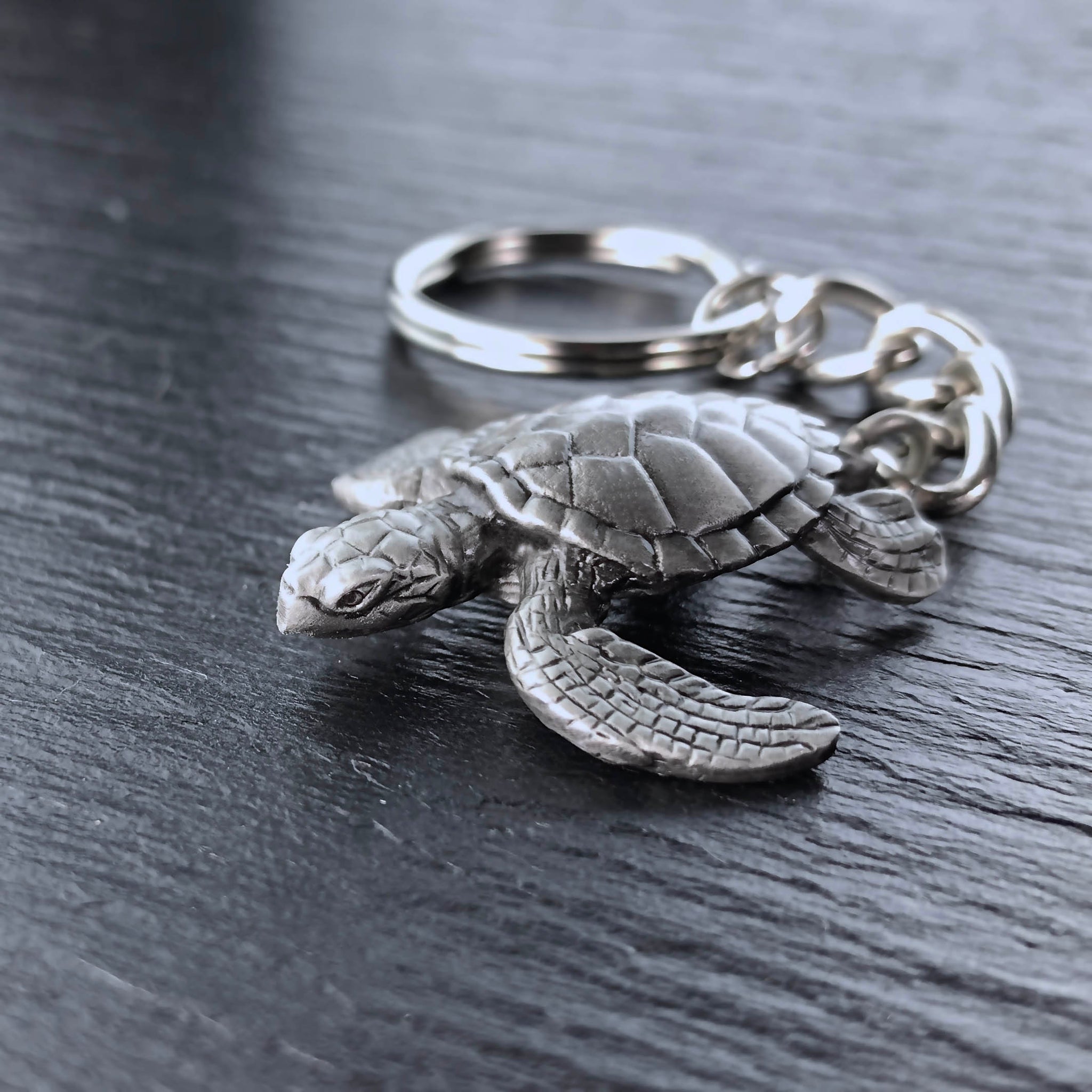41 Wonderful Gifts For Turtle Lovers They Will Actually Want